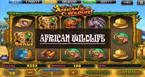 Afican Wildlife สล็อตออนไลน์