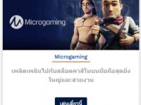 Microgaming slot